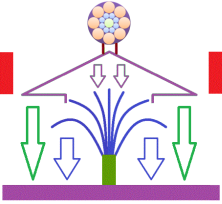 ion21TreeR1 ion21TreeR1