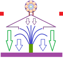 ion21TreeR2 ion21TreeR2