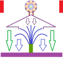 ion21TreeR3 ion21TreeR3