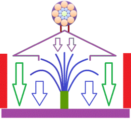 ion21TreeOpti ion21TreeOpti
