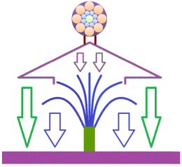 ion21Swiss - Iterative nature ion21Swiss - Iterative nature