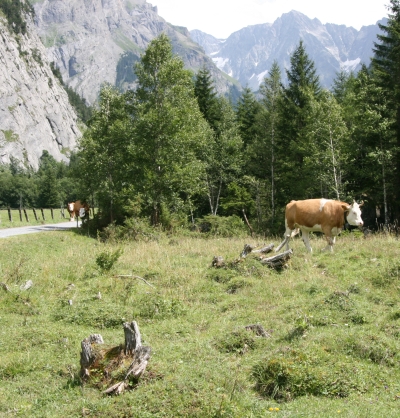 Kandersteg Gasterntal