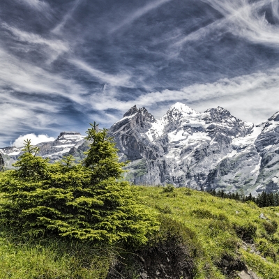 Kandersteg Blüemlisalphorn
